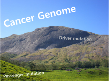 Cancer genome01.png