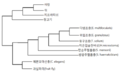 Thumbnail for version as of 10:36, 11 October 2022